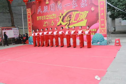 黨員文藝展風(fēng)采 志愿服務(wù)暖人心——我院黨員志愿者社區(qū)文藝表演側(cè)記